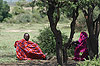 Kenya : Les-Masaï