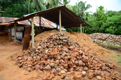 Usine Coco au Sri Lanka