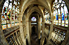 Intérieurs de l'abbatiale Saint Ouen à Rouen 