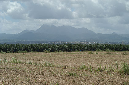 photos de Martinique