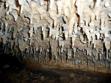 stalactites dans la grotte de caumont