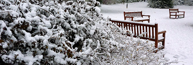 bancs sous la neige