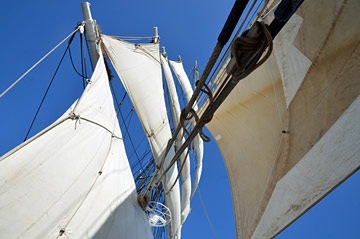 les voiles du Belem