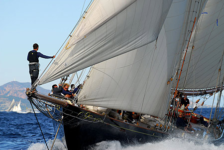 voiles de saint tropez 2008