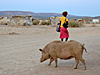 Scènes de vie en Namibie