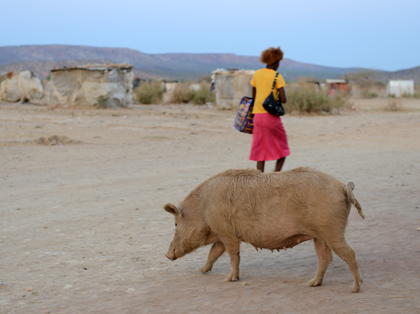 Scènes de vie en Namibie