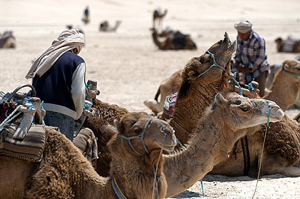 Houmt Souk , Tunisie