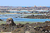 Marée basse à Chausey 