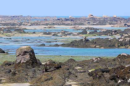 Marée basse aux iles Chausey