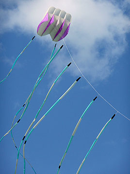 Festival de cerfs volants