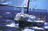 Course des falaises, classe Figaro