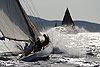 Les voiles de Saint Tropez 2008 