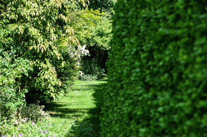 Jardin des prés à Hénouville