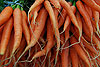 légumes en Normandie