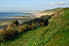 Le Cotentin - -photos