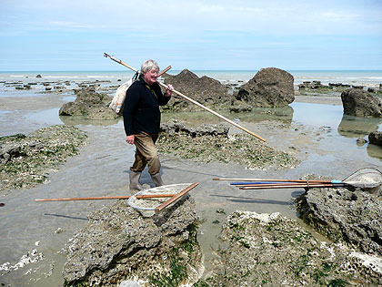Pêche à pieds sur les plages de normandie
