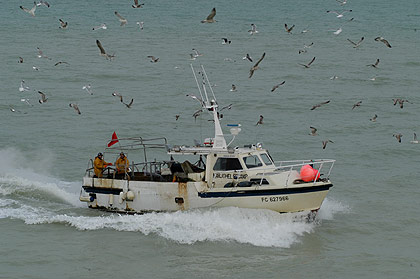 pêcheurs à Saint Valery en Caux