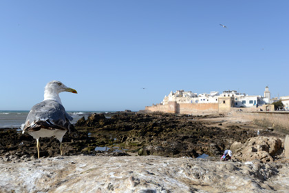 Essaouira côté ville