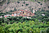 Vallée de l'Ourika