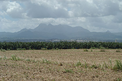photos de Martinique