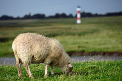 Région de Kuxhaven