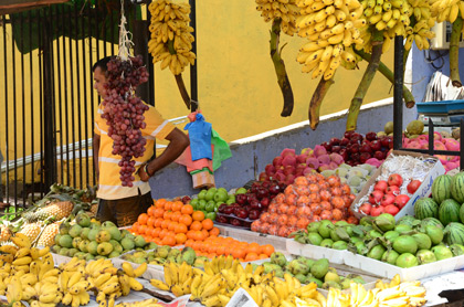 Scènes de vie au Sri Lanka