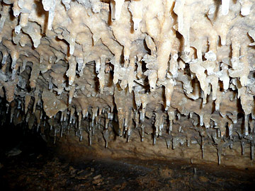 stalactites dans la grotte de caumont