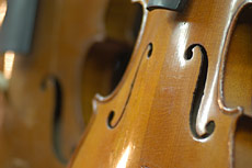 Violons