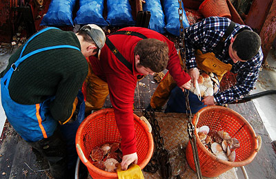 Pêche à la coquille