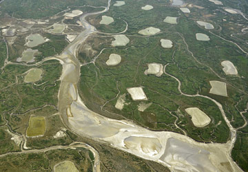 survol de la baie de somme en ULM